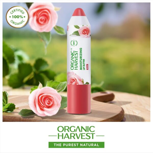 Organic Harvest Moisturizing Lip Butter: Rose | Tinted Lip Butter for Women, Men & Kids | Best Organic Lip Balm | 100% American Certified Organic | 4gm (Pack of 2) - Image 4