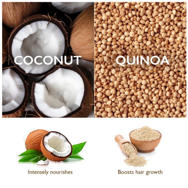Organic Harvest Coconut & Quinoa Shampoo for Dry & Frizzy Hair | Daily Shampoo for Women & Men | Controls Hair Fall & Promotes Hair Growth - 100ml - Image 5