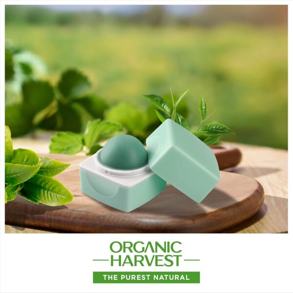 Organic Harvest High Gloss Lip Balm: Green Tea | Lip Balm for Women & Men | Organic Lip Balm to Lighten Dark Lips | 100% American certified organic | Sulphate & Paraben-free | 10gm(Pack of 2) - Image 6